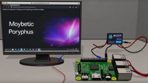 raspberry pi tor setup